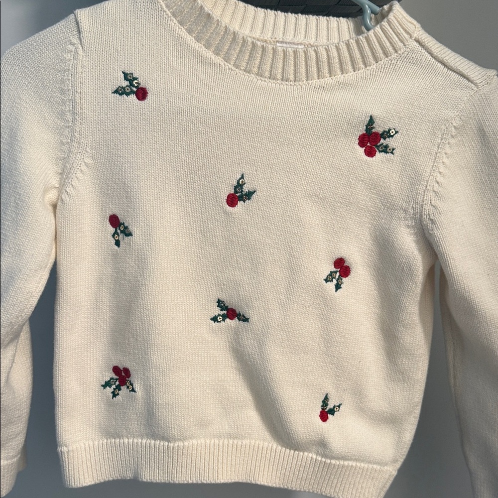 Carters Embroidered Cream Sweater